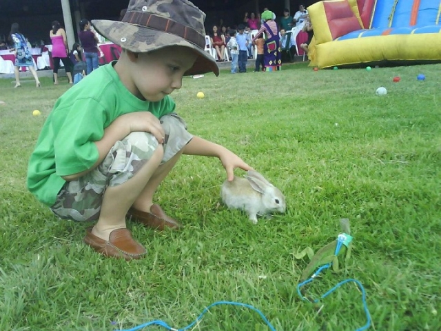 animalitos en tu fiesta